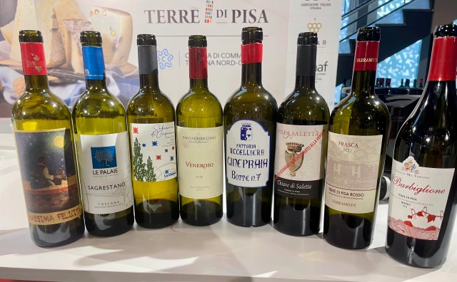 Terre di Pisa Food and Wine festival