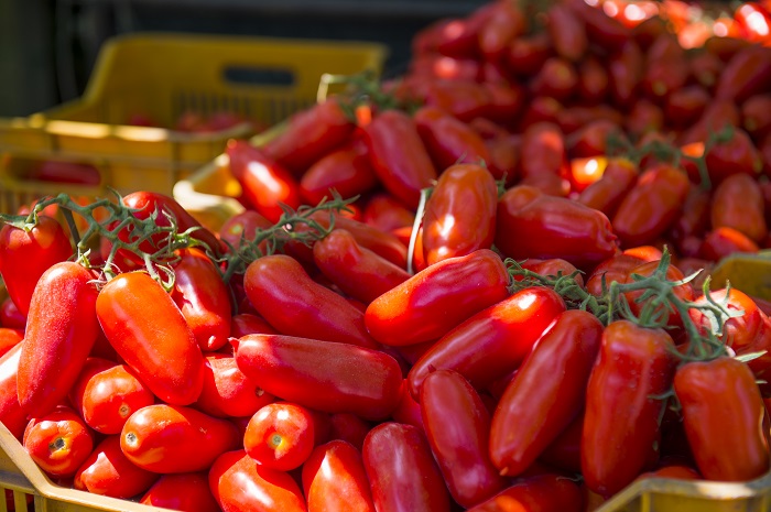 pomodori san marzano