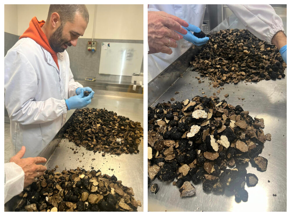 La Cucina di San Pietro a Pettine - tartufo