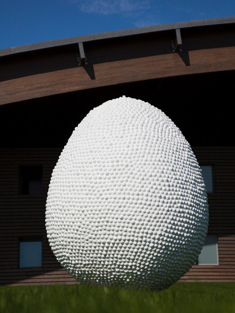 Egg concept, Spirito Costa