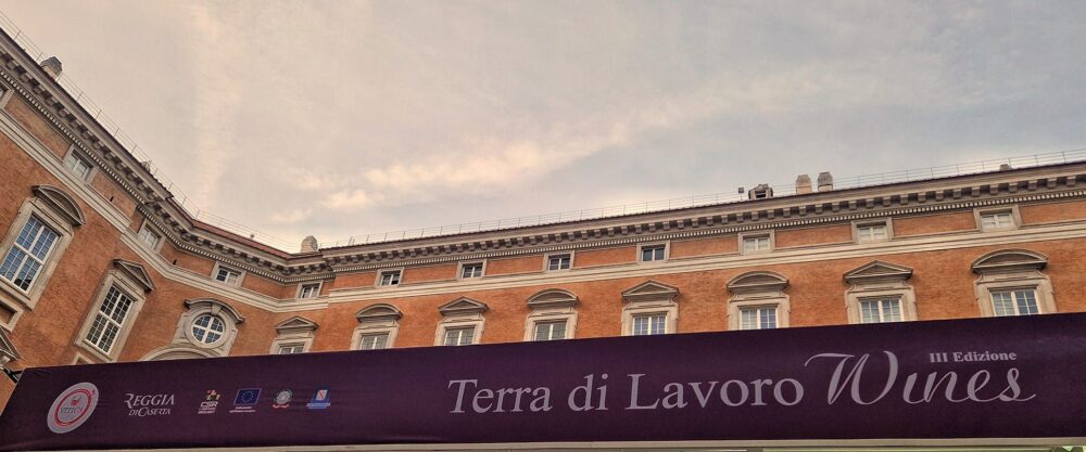 Terra di Lavoro Wines