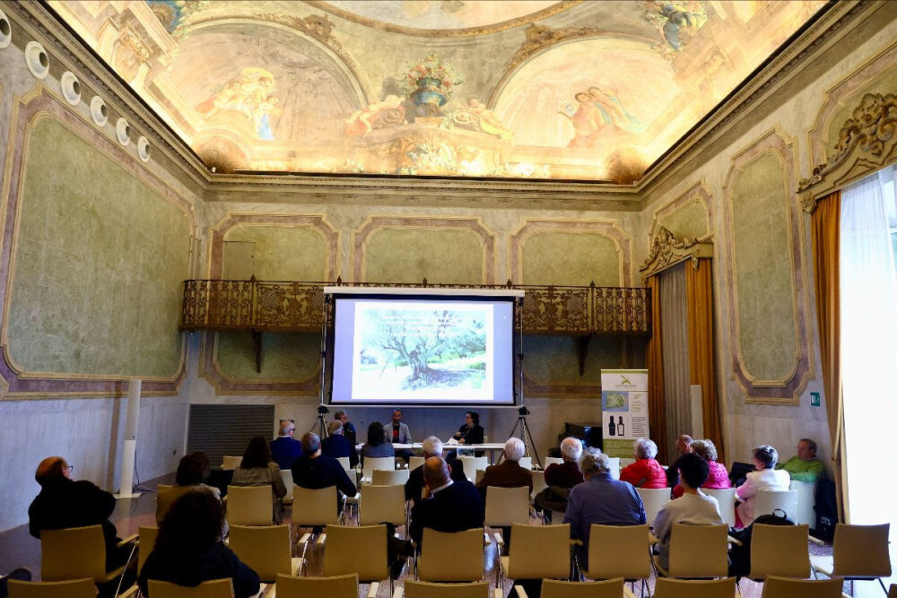 Il convegno antichi uliveti e una nuova idea di olio a Baccanale ad Imola