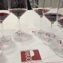 Masterclass vini rossi provincia di Salerno