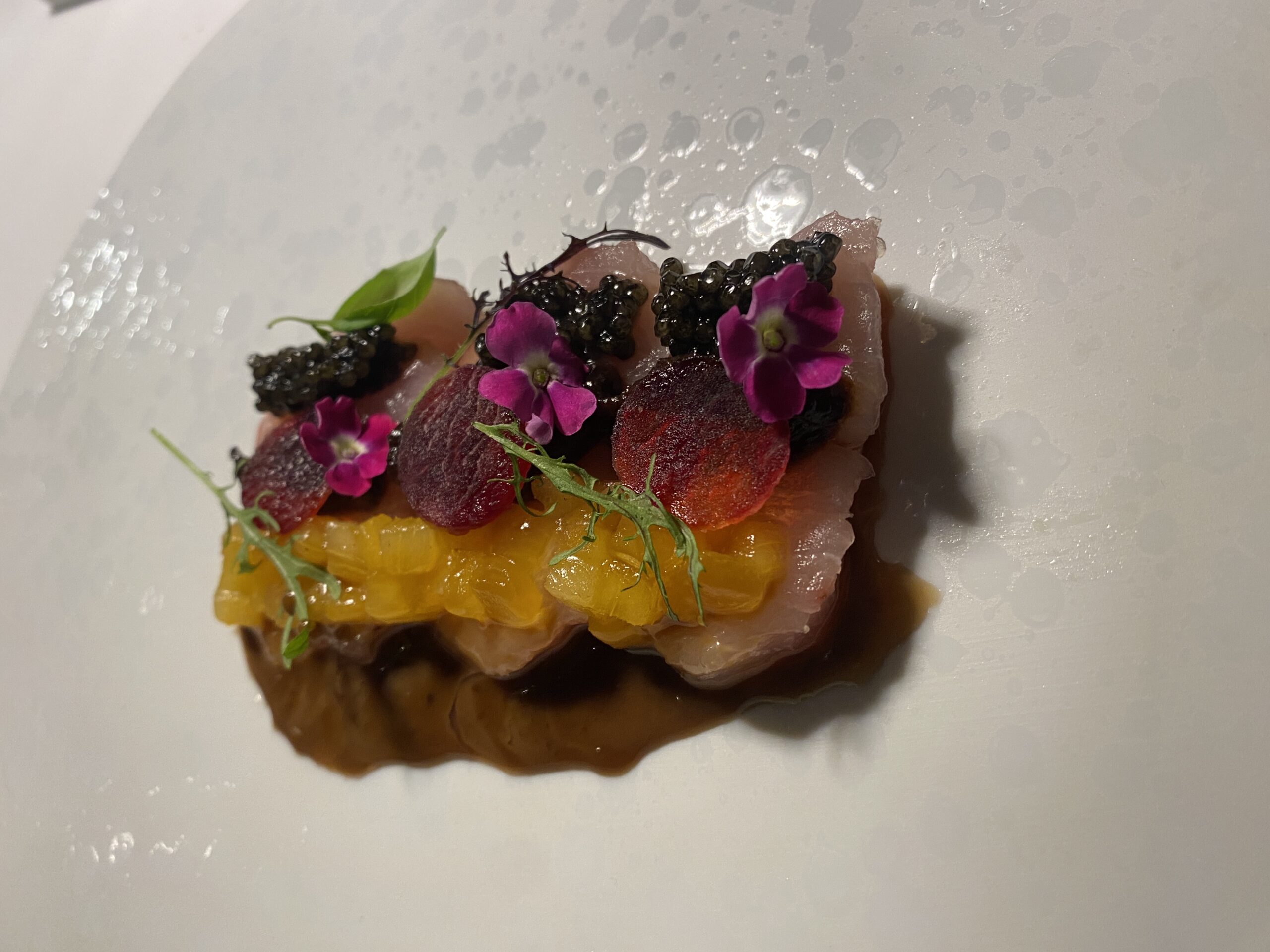 Orangerie - ceviche alla piemontese