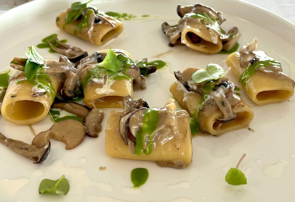 Paccheri di gragnano funghi crema alla rucola e salsa al parmigiano