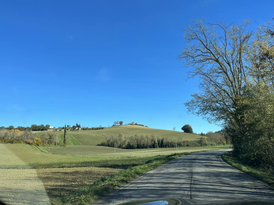 colline marchigiane