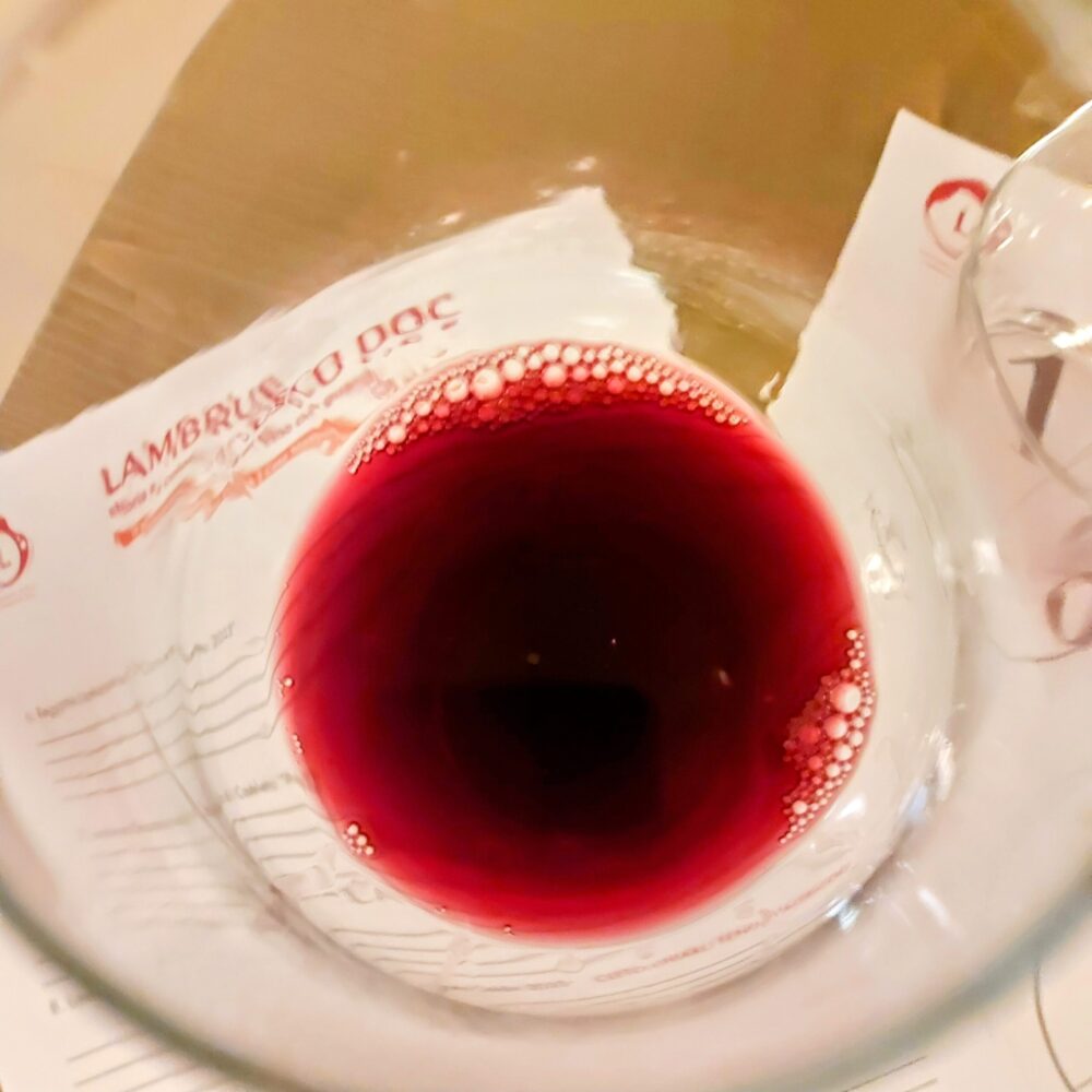 Lambrusco DOC - storia e colori di un vino che guarda al futuro