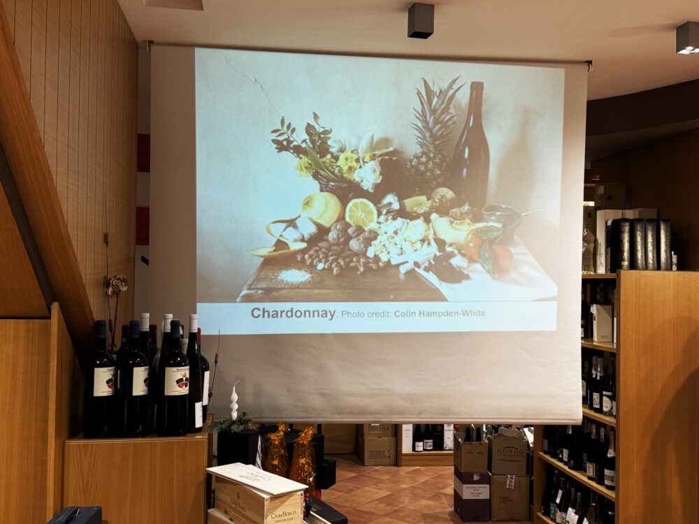 Chardonnay - dipinto