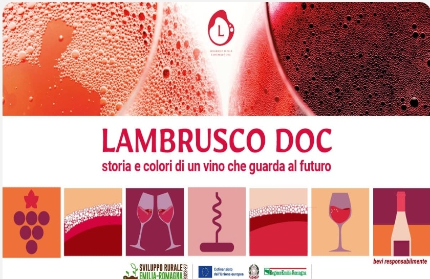 Lambrusco DOC - storia e colori di un vino che guarda al futuro