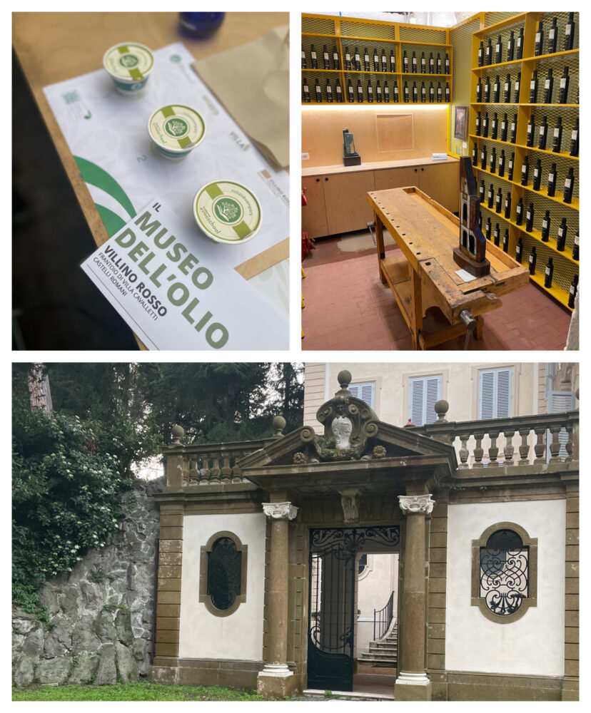 Museo dell’olio nuova meta dedicata all’oro verde dei Castelli Romani