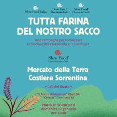 La campagna per domenica a Piano di Sorrento Tutta farina del nostro sacco