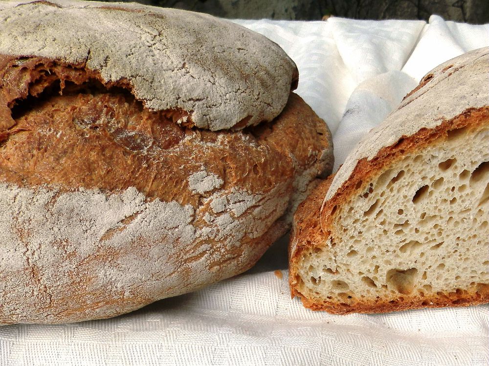 Pane di grano saragolla del beneventano Presidio Slow Food - Campania