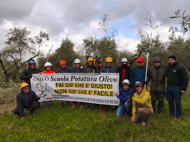 L’allevamento dell’olivo a vaso policonico con Toni Lonobile in una giornata di formazione avanzata a Castel Morrone (CE)