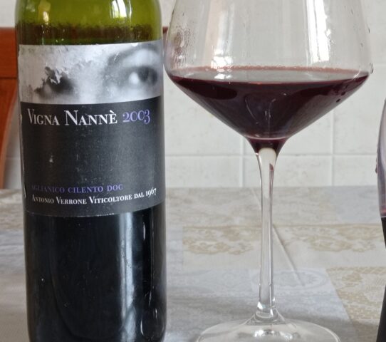 Vigna Nannè Aglianico Cilento Doc 2003 Antonio Verrone